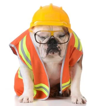 Sleeping on the job Stock Photos