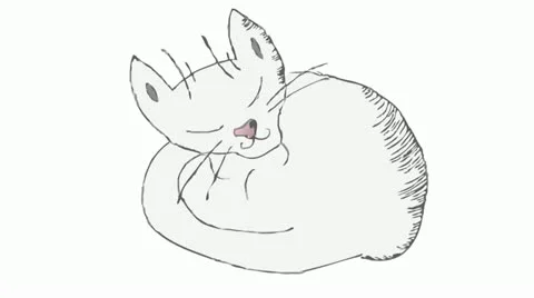 Sleeping kitten Video stock 10953807