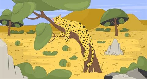 Sleeping leopard on tree in african savanna flat illustration Stock Illustration
