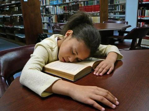 Sleeping in the Library Stock Photos