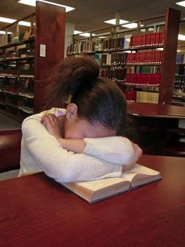 Sleeping in the library Stock Photos