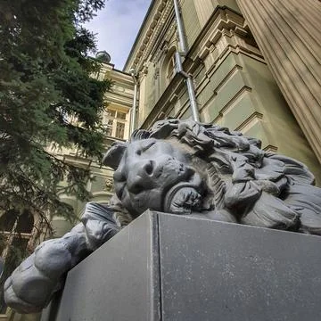 Sleeping lion Stock Photos
