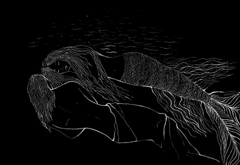 Sleeping mermaid Stock Illustration