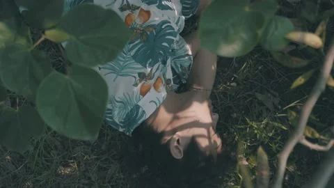 Sleeping in Nature Stock Footage 134747808