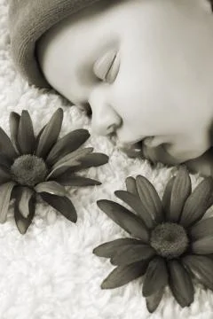Sleeping Newborn Stock Photos