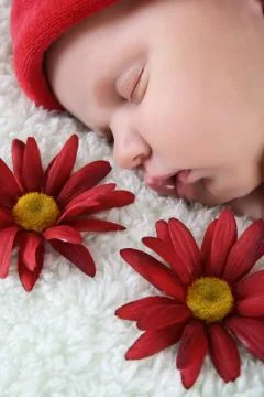 Sleeping Newborn Stock Photos