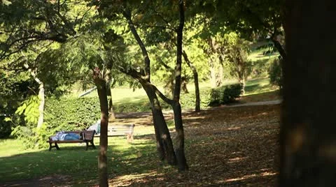 Sleeping at park Stock Footage 8924426