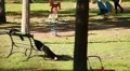 Sleeping at park HD Footage