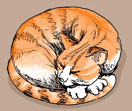 Sleeping red cat Stock Illustration