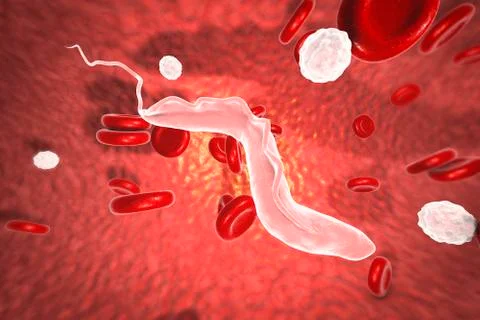 Sleeping sickness parasites Illustration