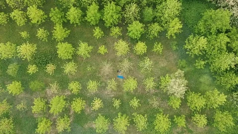Sleeping in a sleeping bag among the trees Stock Footage 114770380