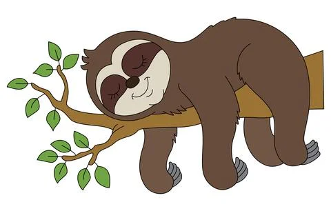 Sleeping sloth on tree branch vector illustration Stock Illustration
