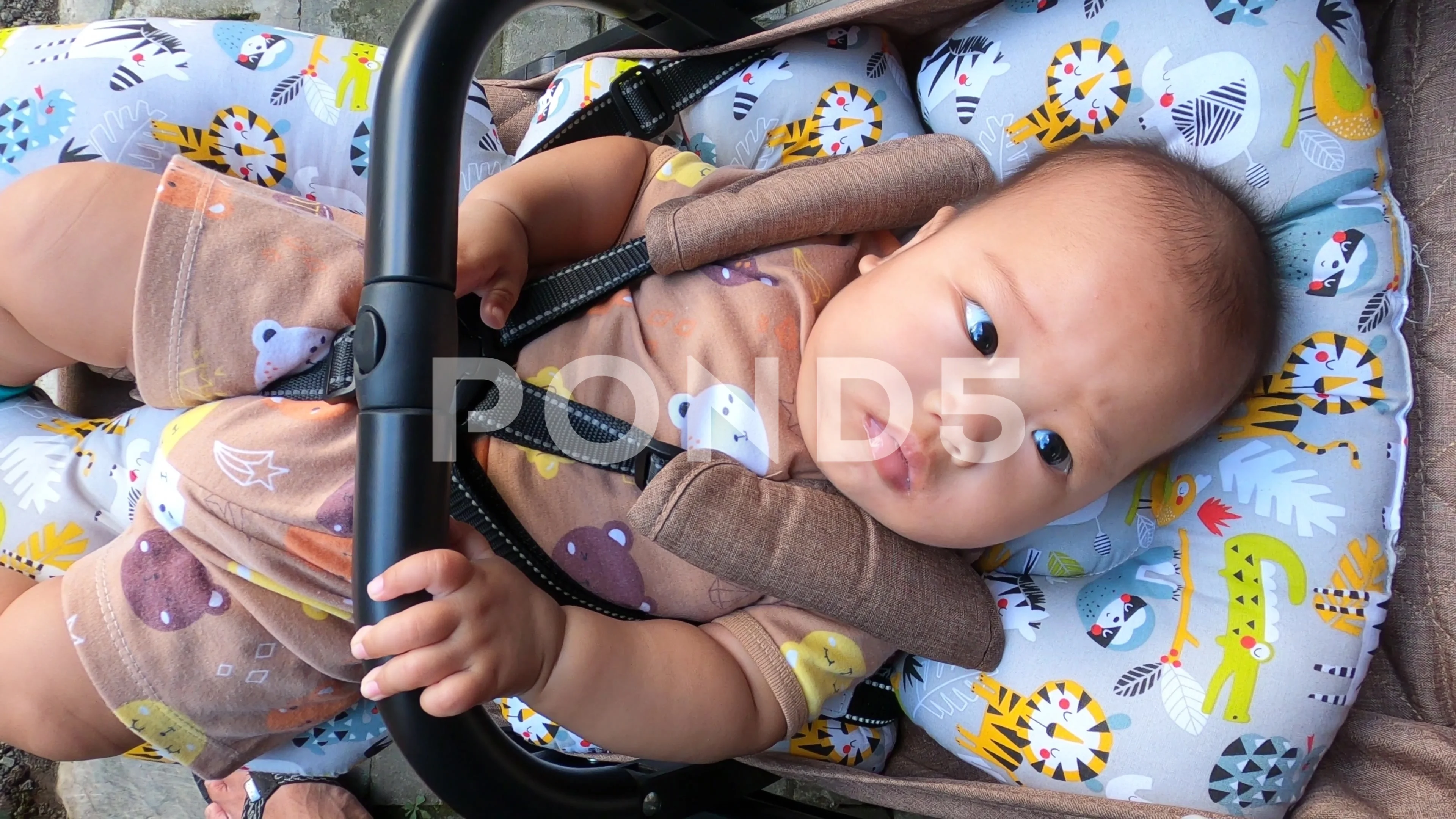 Sleepy Asian Healthy Big Fat Baby Boy Face On Stroller