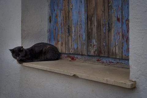 Sleepy black cat by rustic window Stock Photos