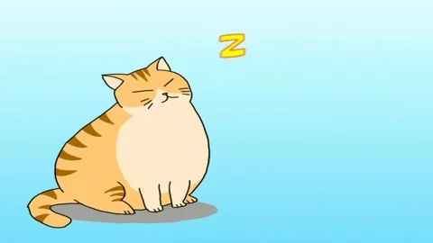 SLEEPY CAT Stock Footage 245431966