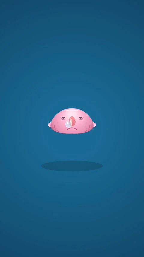 Sleepy Pink Blobfish Underwater Loop Stock Footage 331783564
