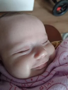 Sleepy Plot Stock Photos