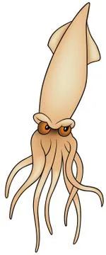 Sleeve Fish Stock Illustration