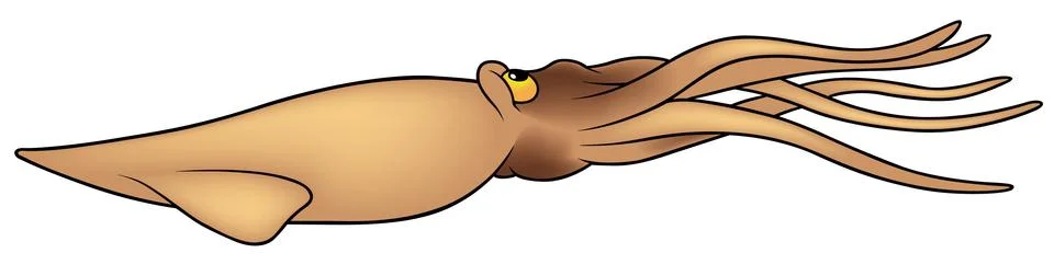 Sleeve Fish Stock Illustration