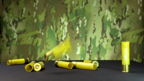 Sleeve Stock Footage 195959353