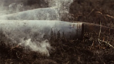 Sleeves Shells. Close-up. 動画素材 102318658