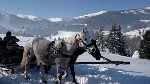 Sleigh Pulled by Horses During Winter in a Mountain Village Stock Footage 72176178