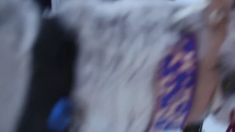 Sleigh With Reindeer. Three Deer Pull Sleigh. Stock Footage 327235813