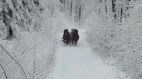 Sleigh ride 스톡 동영상 21324435