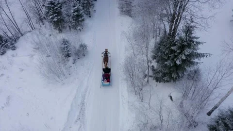 Sleigh ride through the forest in winter Stock Footage 233475739