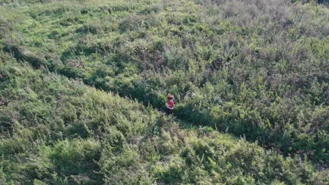 Slender and athletic middle-aged red-haired woman is engaged in running outdo Stock Footage 114755715