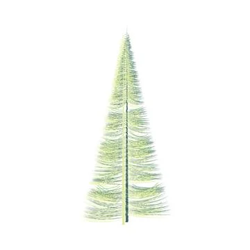 Slender dual tree with dense pyramidal crown Stock Illustration