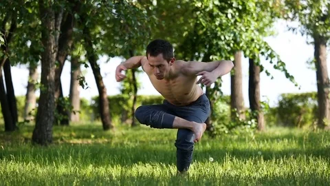 Slender handsome bare-chested man practicing yoga in the park. Brunette guy Stock Footage 81512396