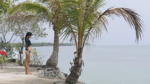Slender woman doing warm up exercise in front of the ocean in a tropical resort. Stock Footage 118364981