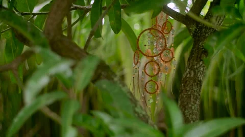 Slepping net on the tree. Wedding decoration with wooden dreamcatcher. Stock Footage 281678385