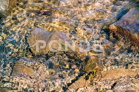 Slh glare on the water Stock Photos