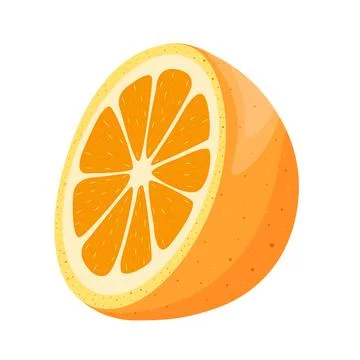 Slice and half of orange, vector graphics drawn on white background Stock Illustration