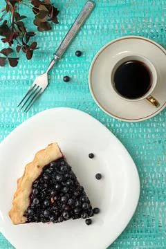 Slice of bilberry cake Stock Photos