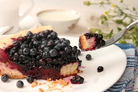 Slice of bilberry cake Stock-Fotos