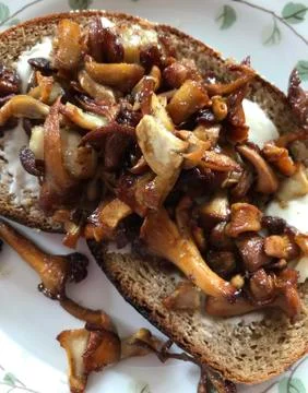 Slice of bread with chanterelle Stock Photos