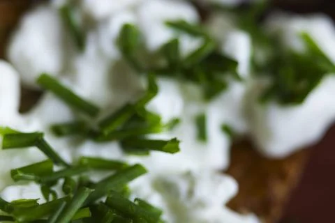 Slice of bread with cottage cheese and chives. Healthy meal Stock Photos