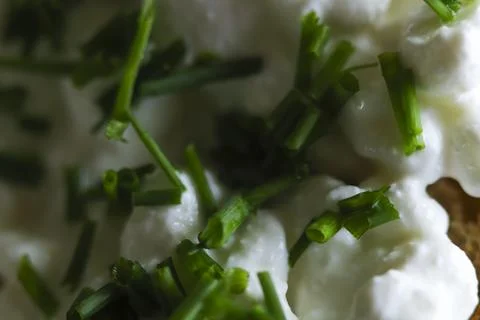 Slice of bread with cottage cheese and chives. Healthy meal Stock Photos