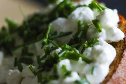 Slice of bread with cottage cheese and chives. Healthy meal Stock Photos