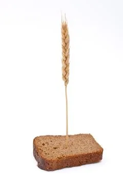 Slice bread with ear Stock Photos