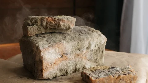Slice of bread falls on moldy bread, mold particles in the air Stock-Footage 115833479