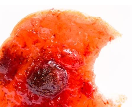 Slice of bread Stock Photos