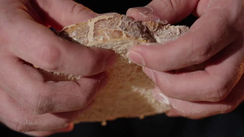 Slice of Bread Torn Apart Stock Footage 254599042