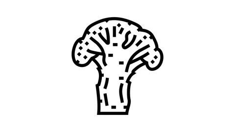 Slice broccoli line icon animation Stock Footage 326137947