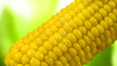 Slice of Butter Slices on Boiled Corn HD Pro Stock Footage 82577059