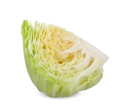Slice cabbage isolated on white clipping path Stock Photos