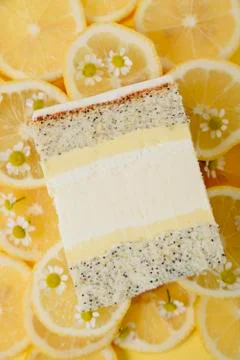 Slice of cake in the section on the background of fruit Stock Photos